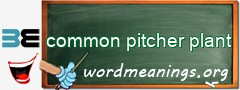 WordMeaning blackboard for common pitcher plant